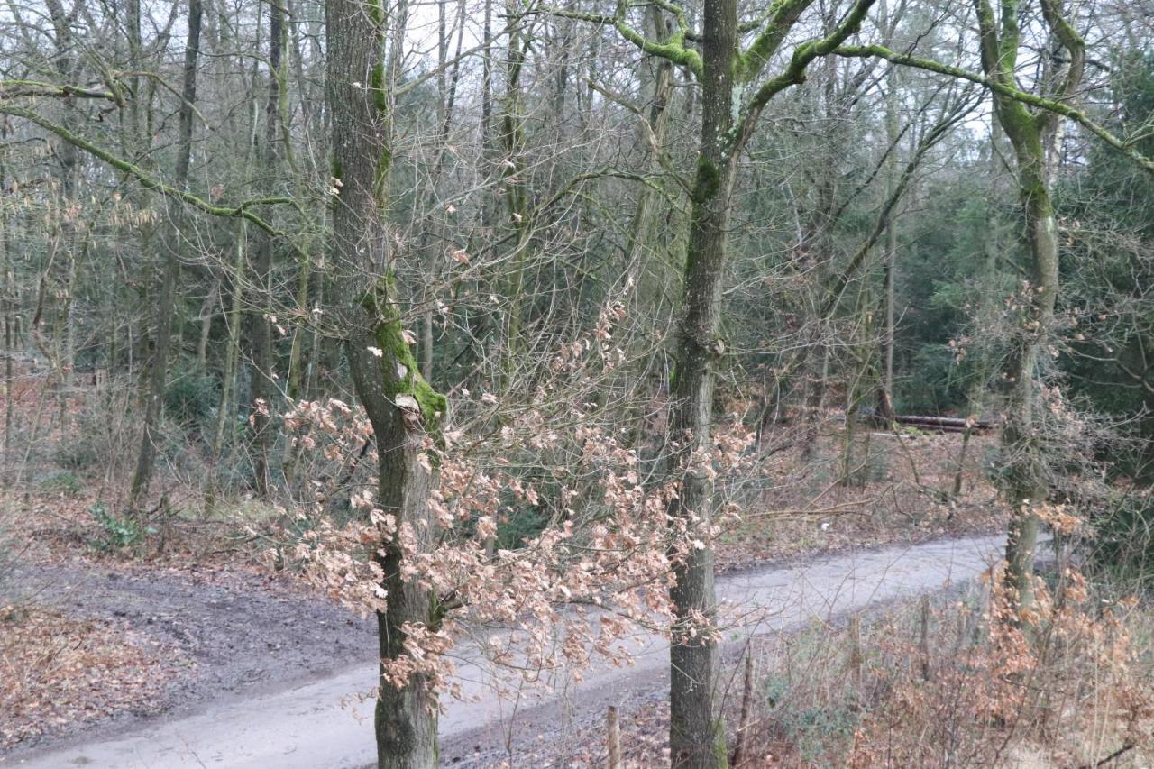 Wijkd Apartment Leende Luaran gambar